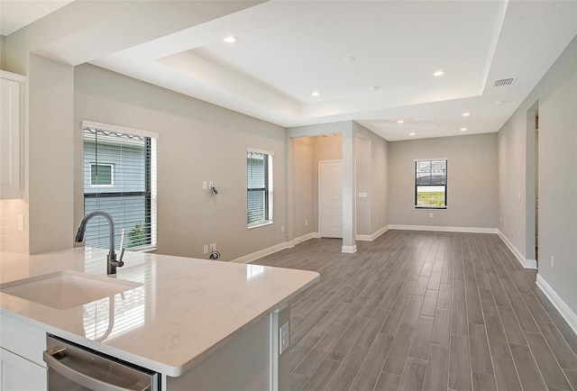 kitchen featuring white cabinetry, hardwood / wood-style floors, a tray ceiling, dishwasher, and sink