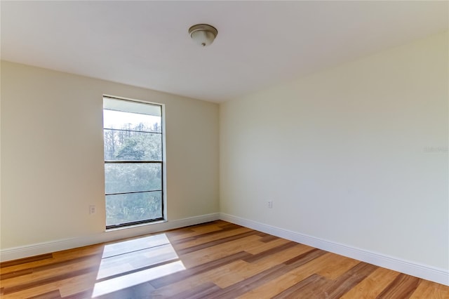 empty room featuring plenty of natural light and light hardwood / wood-style flooring