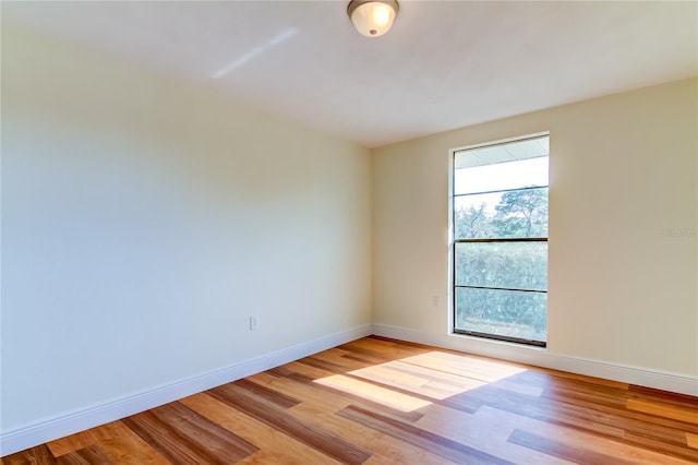 empty room featuring plenty of natural light and light hardwood / wood-style floors