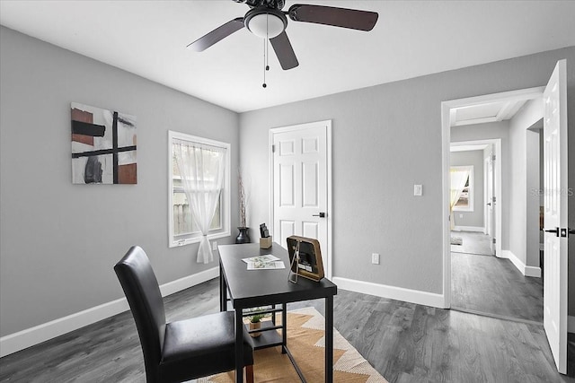 office space with ceiling fan and dark wood-type flooring