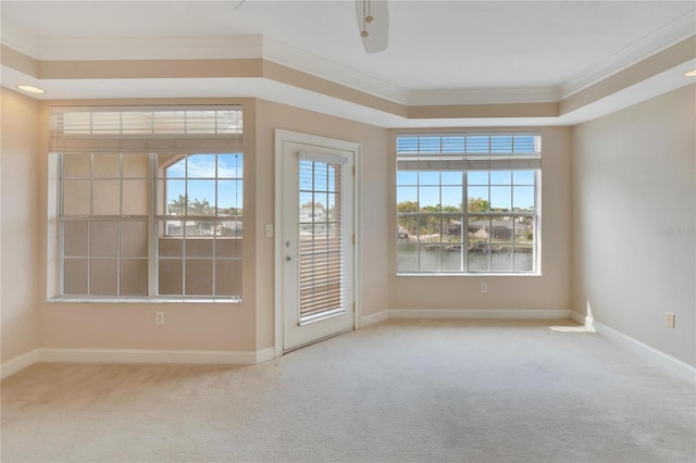 spare room featuring a tray ceiling, crown molding, a water view, and light colored carpet