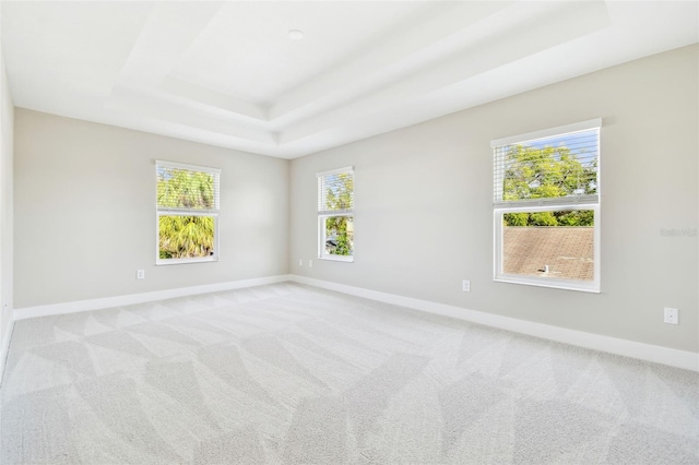 unfurnished room with light carpet and a tray ceiling