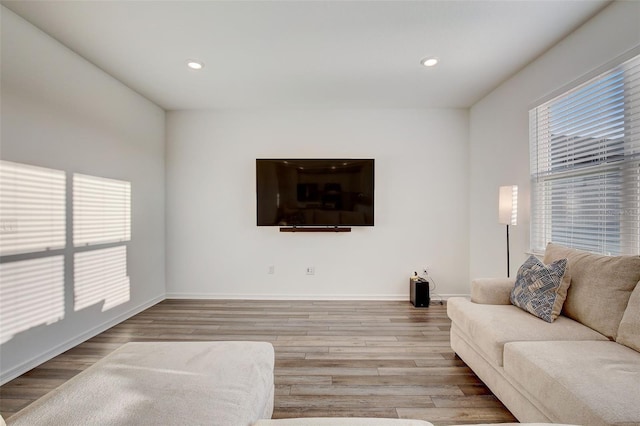 living room featuring light hardwood / wood-style flooring