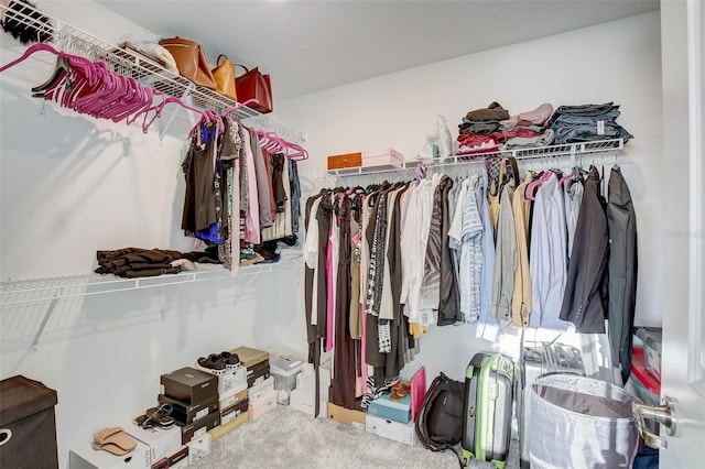 spacious closet featuring carpet floors