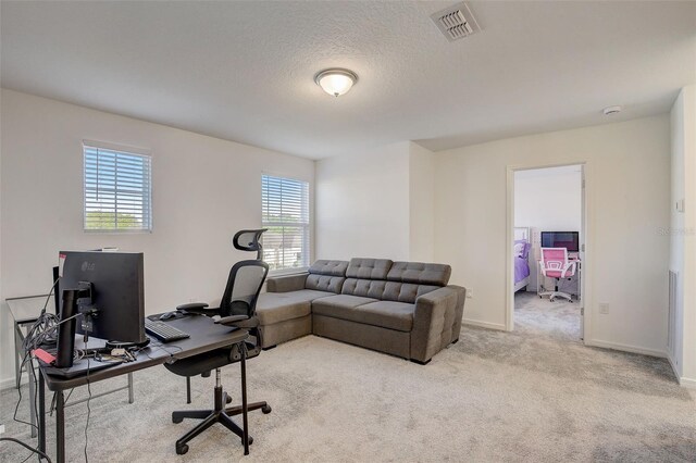 office area featuring plenty of natural light, light colored carpet, and a textured ceiling