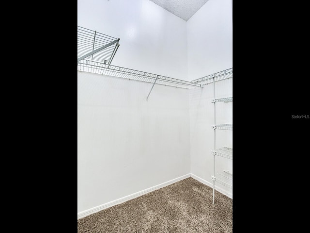 spacious closet with carpet floors