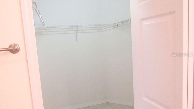 view of walk in closet