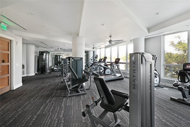 gym featuring ceiling fan, carpet floors, and a wealth of natural light