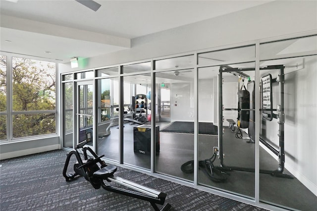 exercise room featuring carpet floors