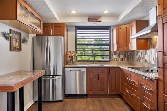 kitchen featuring sink, stainless steel appliances, a raised ceiling, and wall chimney range hood