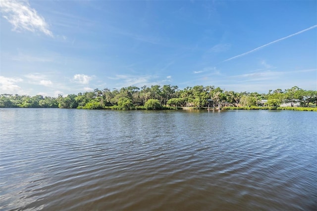 14640 W Black Creek Dr, Crystal River, FL 34429 - water view
