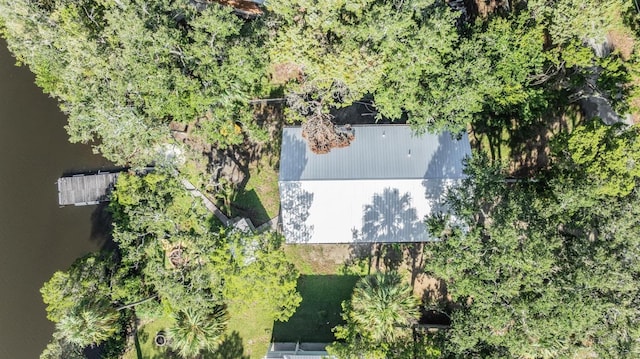 14640 W Black Creek Dr, Crystal River, FL 34429 - view from above of property