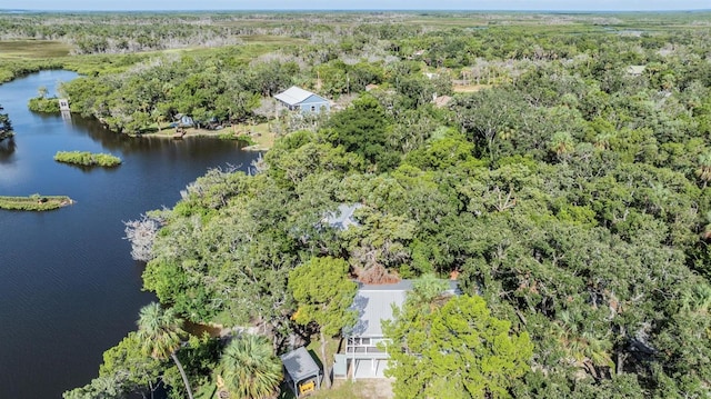 14640 W Black Creek Dr, Crystal River, FL 34429 - view of property location with a nearby body of water and a forest