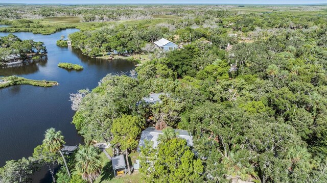 14640 W Black Creek Dr, Crystal River, FL 34429 - aerial view of property's location with a nearby body of water and a forest