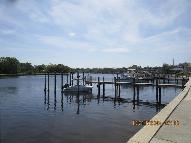 dock area with a water view