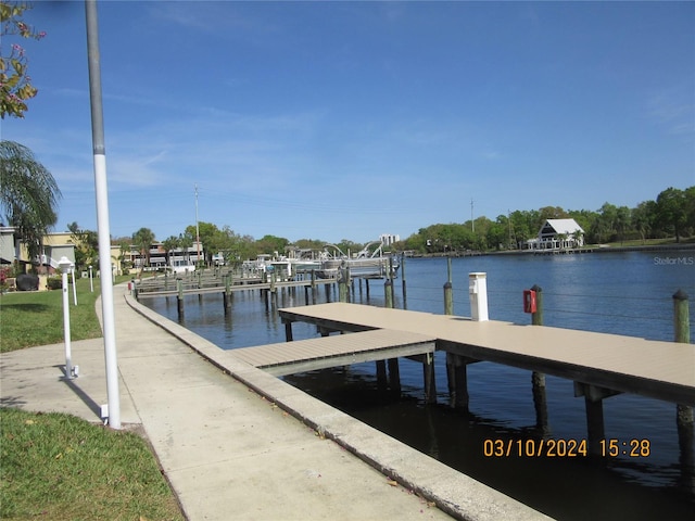 dock area with a water view