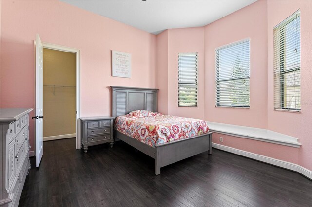 bedroom featuring a spacious closet, a closet, and dark wood-type flooring