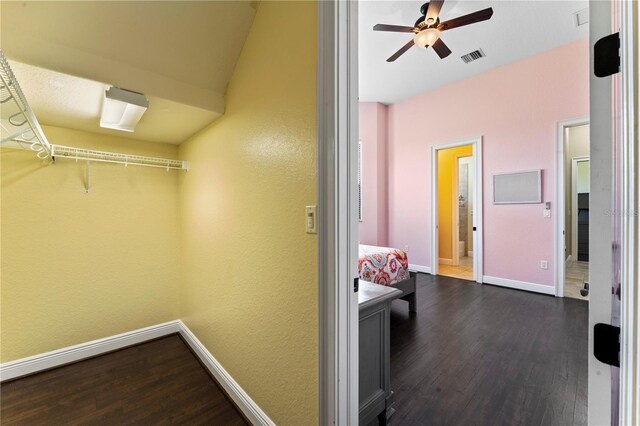 walk in closet featuring ceiling fan and dark wood-type flooring