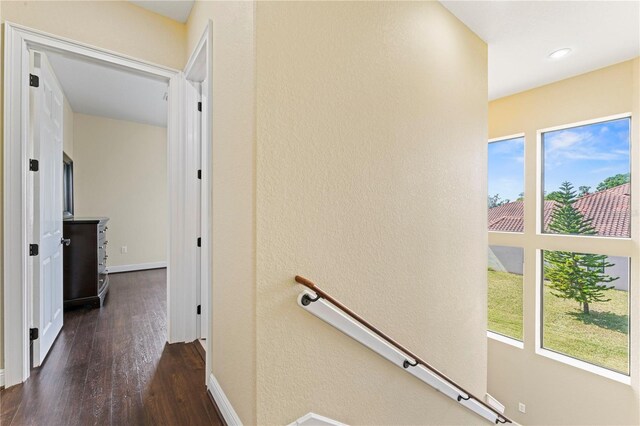 corridor with plenty of natural light and dark hardwood / wood-style flooring