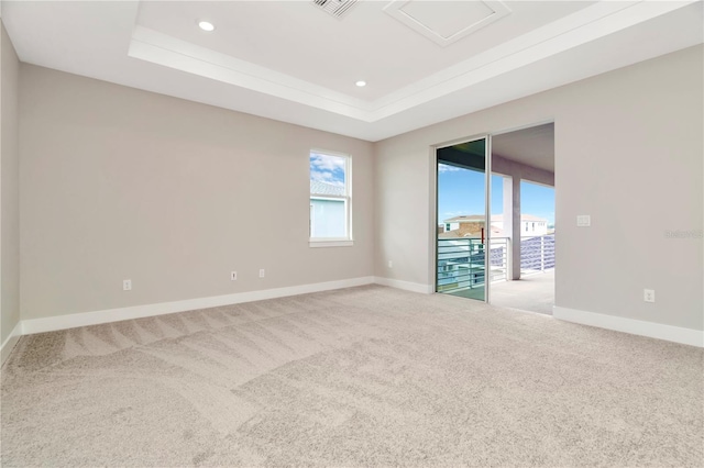 unfurnished room with light carpet and a raised ceiling