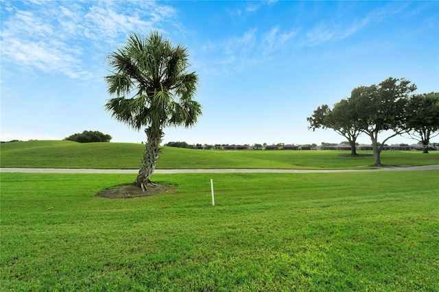 view of home's community featuring a yard