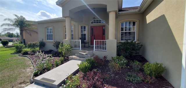 entrance to property featuring a yard