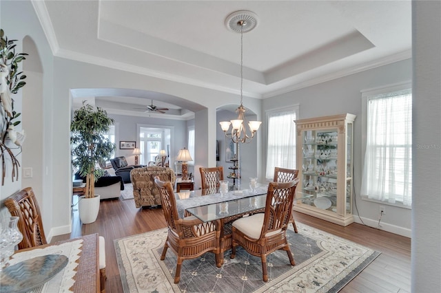 dining space featuring plenty of natural light, a tray ceiling, and hardwood / wood-style floors