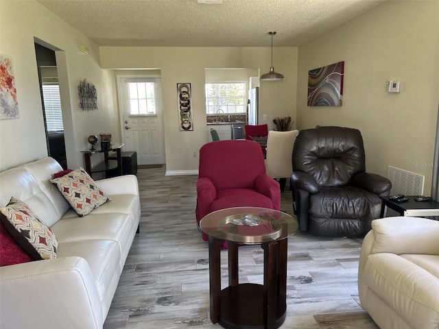 living room with sink, wood-type flooring, and a textured ceiling