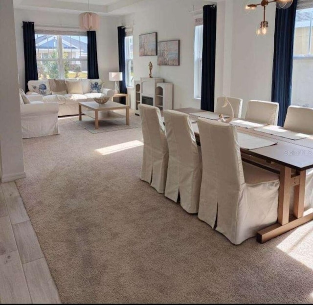 dining area featuring light hardwood / wood-style flooring