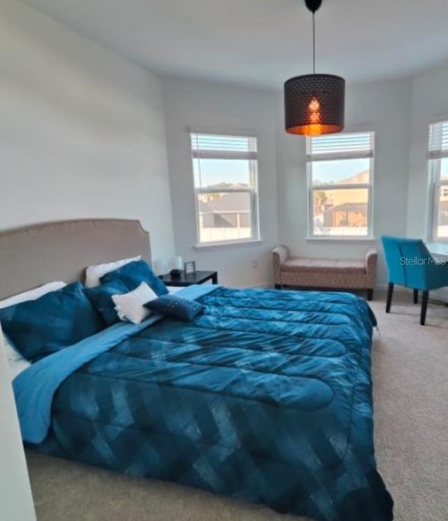 bedroom featuring dark carpet and multiple windows