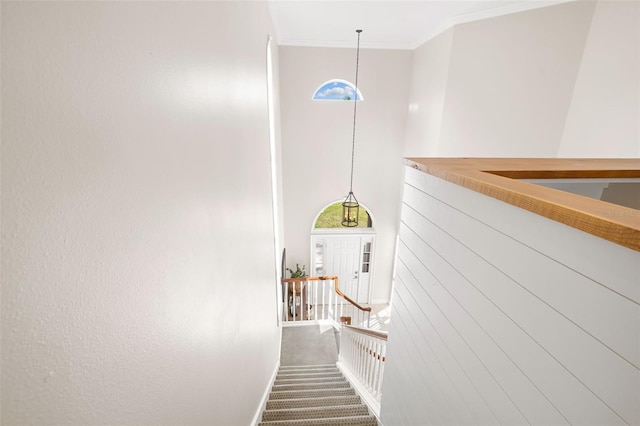 stairs with carpet and crown molding