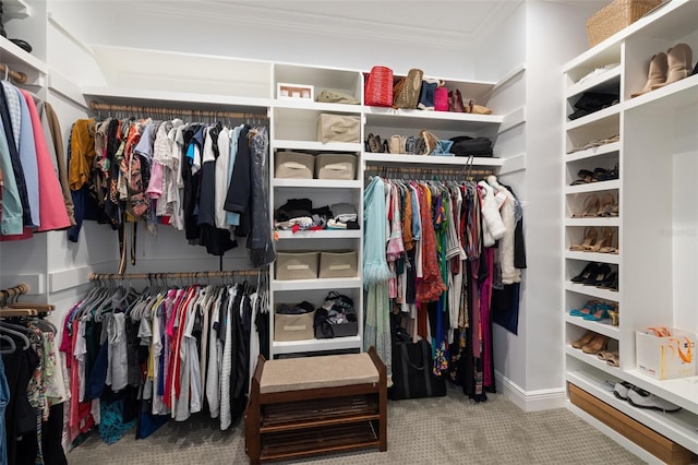 spacious closet featuring carpet flooring