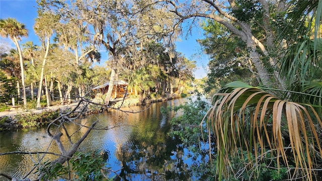 Listing photo 2 for 0 Felker Dr, Weeki Wachee FL 34607