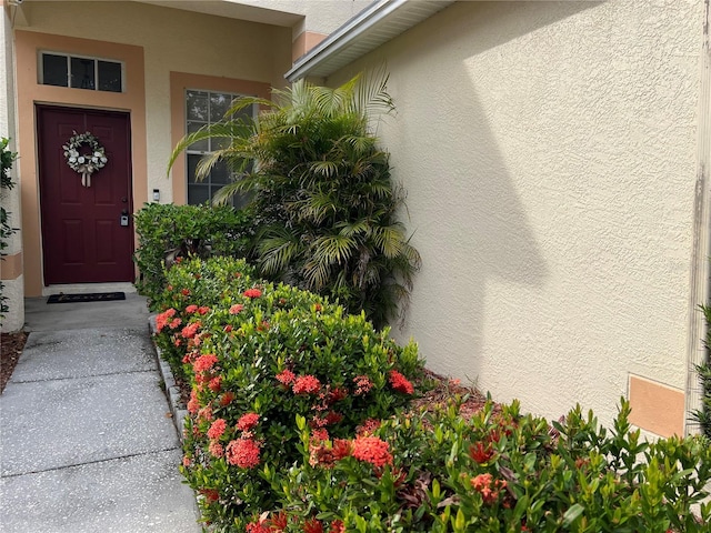 view of exterior entry with stucco siding