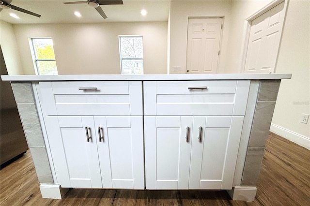 bathroom with ceiling fan and hardwood / wood-style floors