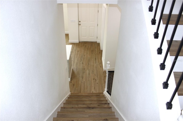 staircase featuring wood-type flooring