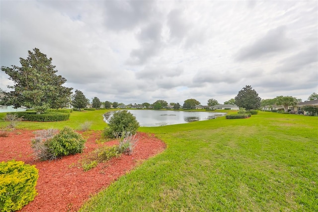 view of yard with a water view