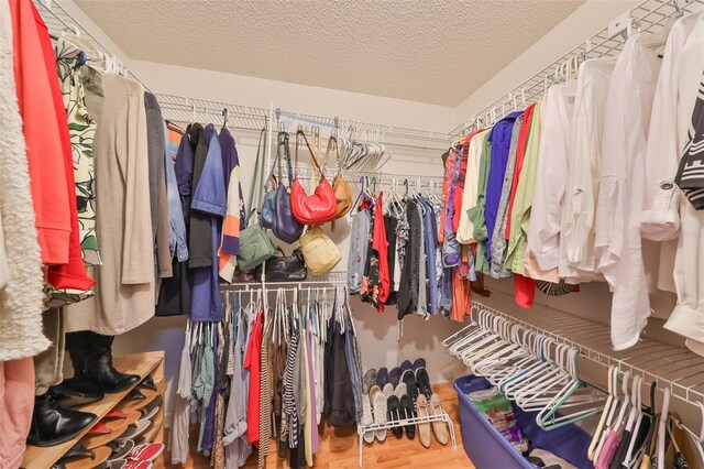 walk in closet featuring hardwood / wood-style floors