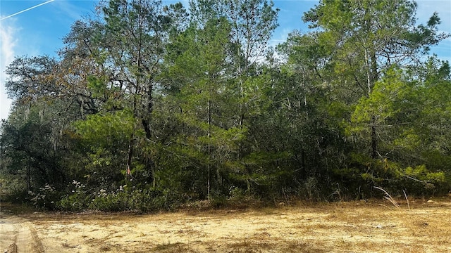 2909 Eastwood St, Inverness FL, 34452 land for sale