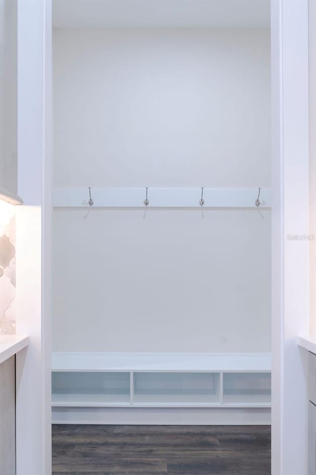 mudroom featuring dark hardwood / wood-style floors