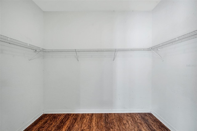 spacious closet with dark wood-type flooring