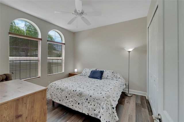 bedroom featuring a closet, dark hardwood / wood-style floors, and ceiling fan