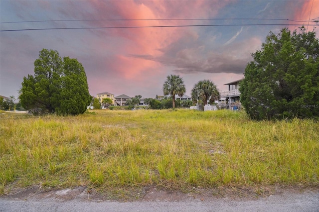 view of yard at dusk