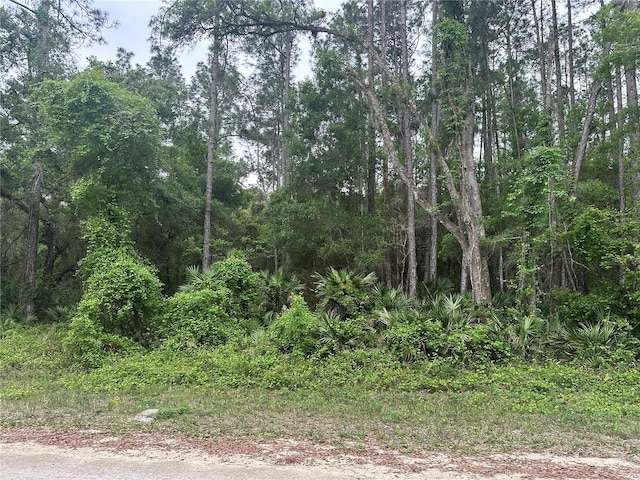 0 Alloy St, Webster FL, 33597 land for sale