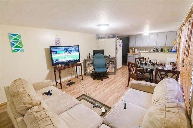 living room featuring light hardwood / wood-style floors