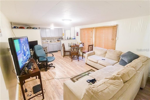 living room with light wood-type flooring