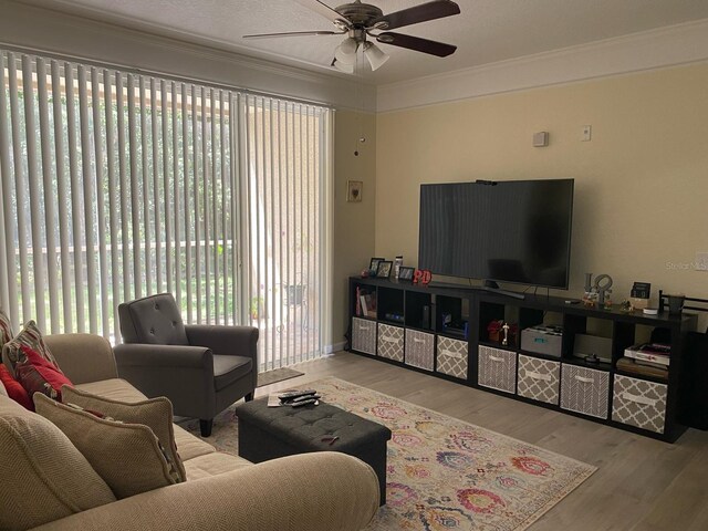 living room featuring ornamental molding, ceiling fan, and light wood-type flooring