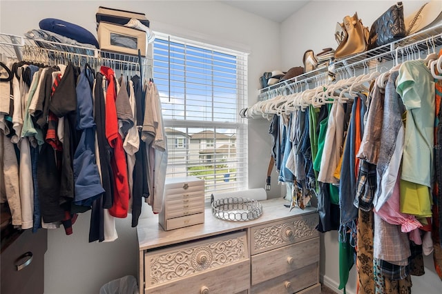 view of walk in closet