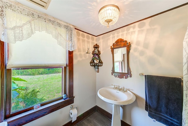 bathroom featuring hardwood / wood-style floors and a wealth of natural light