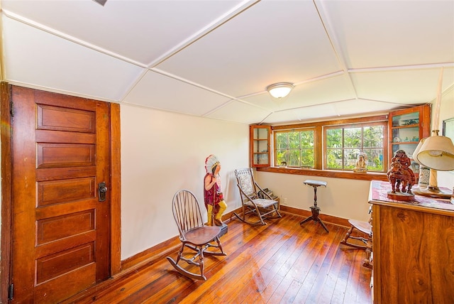 living area featuring dark hardwood / wood-style flooring